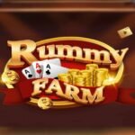 Rummy farm app